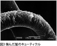 傷んだ髪のキューティクル