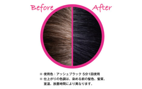 カラートリートメント ヘアケア ヘアカラー ヘンケルジャパン株式会社 カラートリートメント ヘアケア ヘアカラー ヘンケルジャパン株式会社